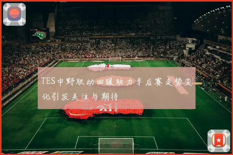TES中野联动回暖助力季后赛走势变化引发关注与期待